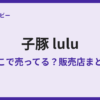 子豚LULUはどこで売ってる？販売店まとめ