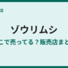 ゾウリムシの販売店はどこ？売ってる場所まとめ